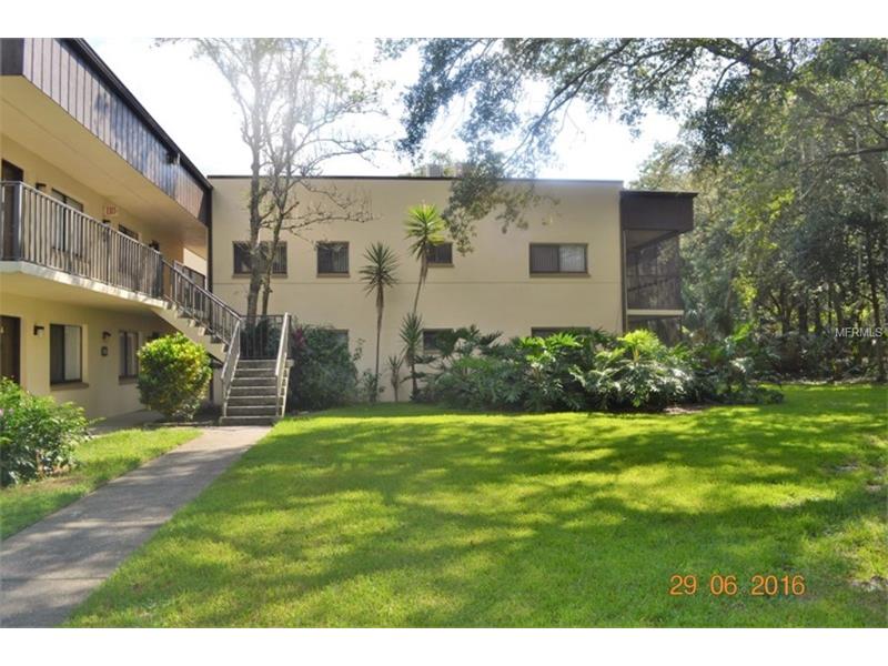 11803 RAINTREE LAKE LANE, Temple Terrace, FL 33617