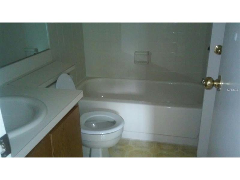 11315 GRANDVILLE DRIVE, Temple Terrace, FL 33617