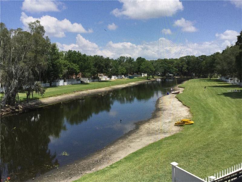 13684 ORANGE SUNSET DRIVE, Tampa, FL 33618