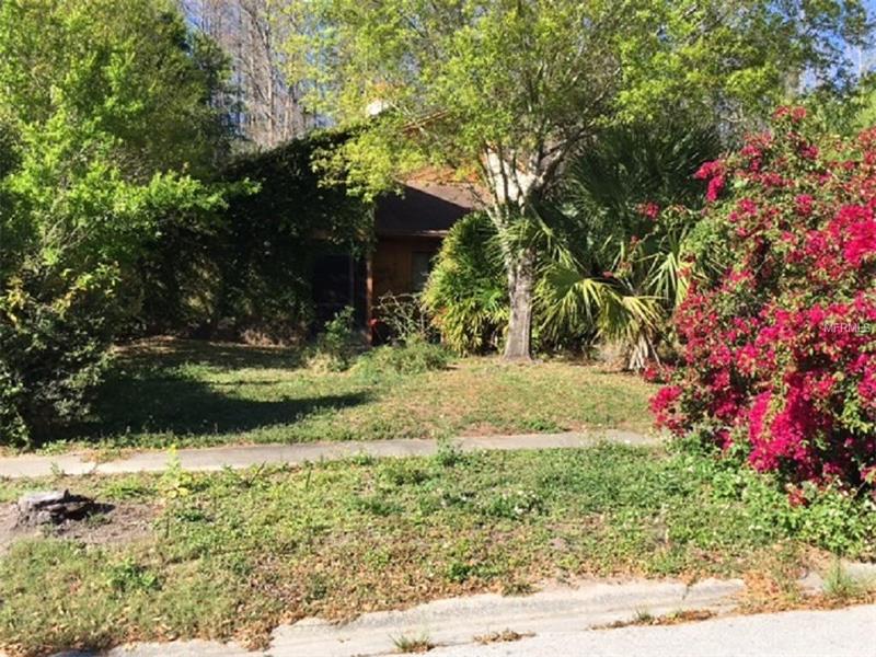4407 SUMMER OAK DRIVE, Tampa, FL 33618