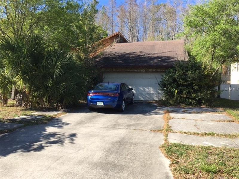 4407 SUMMER OAK DRIVE, Tampa, FL 33618
