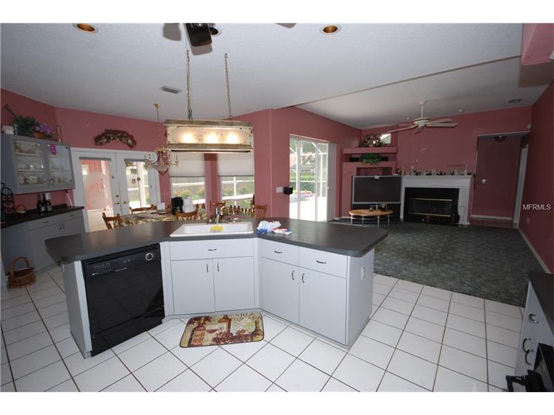 2511 VINY COURT, Tampa, FL 33618