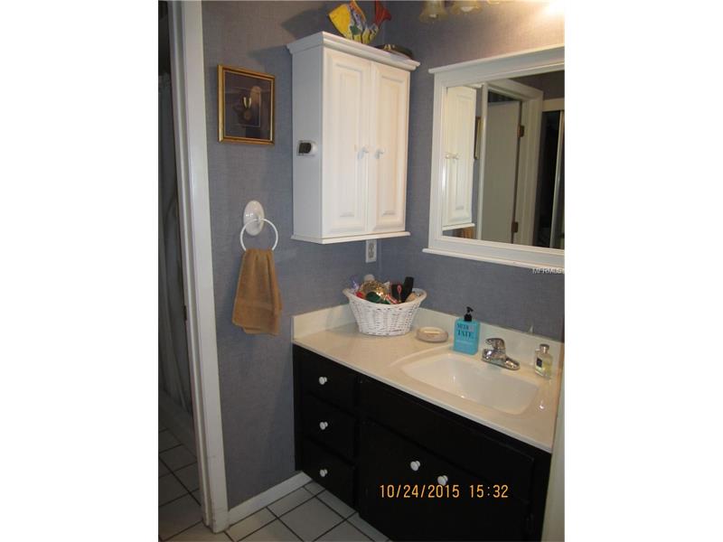 3416 ELLENWOOD LANE, Tampa, FL 33618