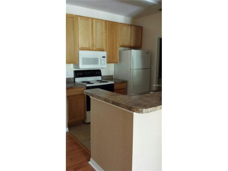 10106 COURTNEY OAKS CIRCLE, Tampa, FL 33619