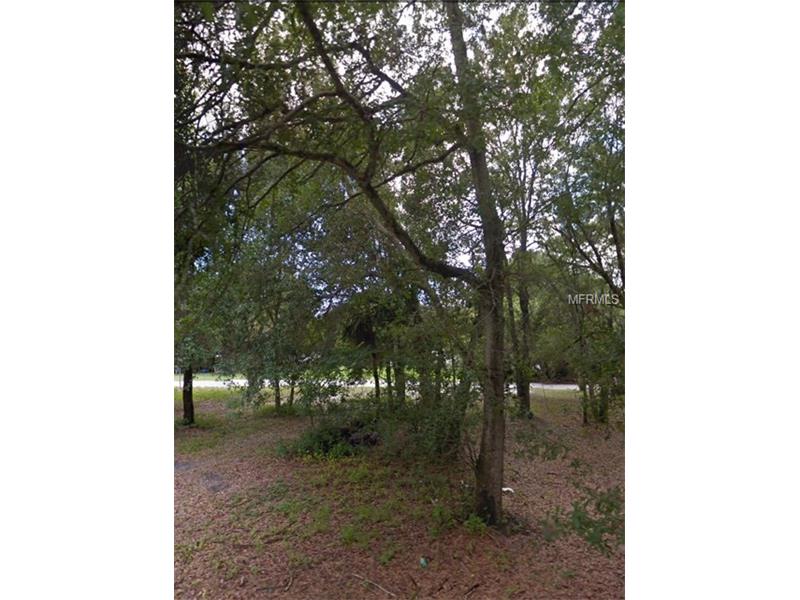 7406 PENNSYLVANIA DRIVE, Tampa, FL 33619