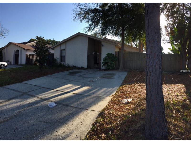11001 BOTTLEBRUSH PLACE, Tampa, FL 33624