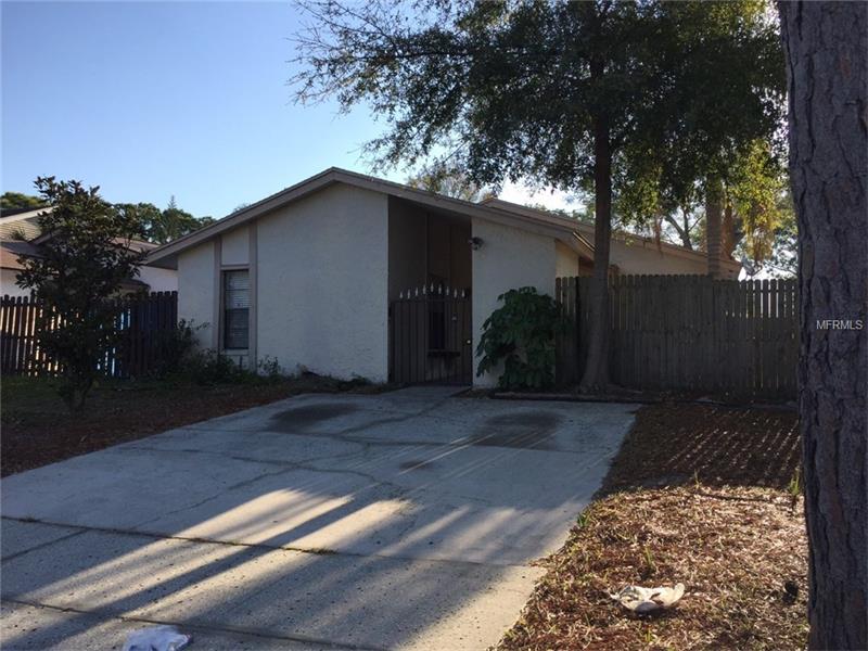 11001 BOTTLEBRUSH PLACE, Tampa, FL 33624