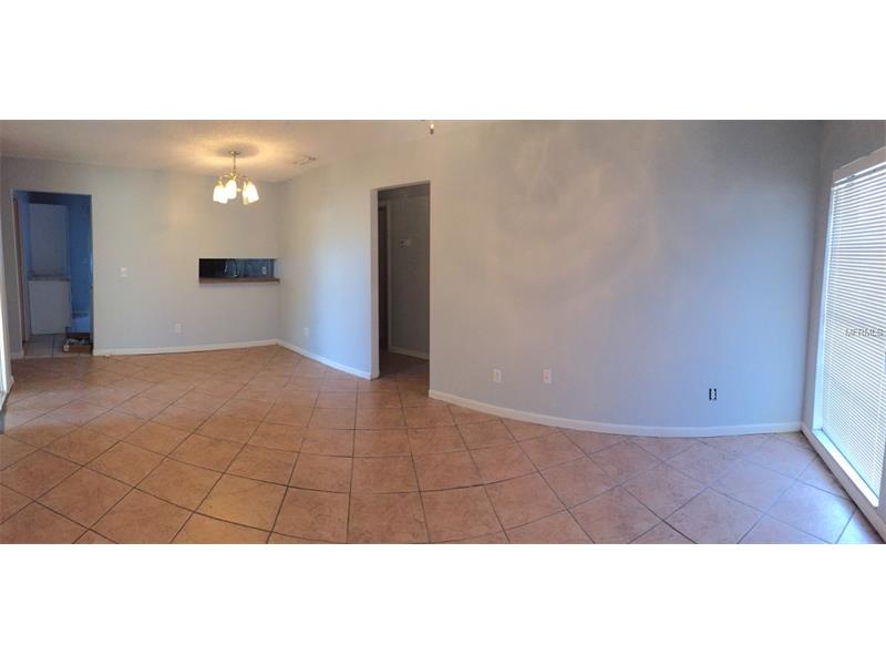 11001 BOTTLEBRUSH PLACE, Tampa, FL 33624