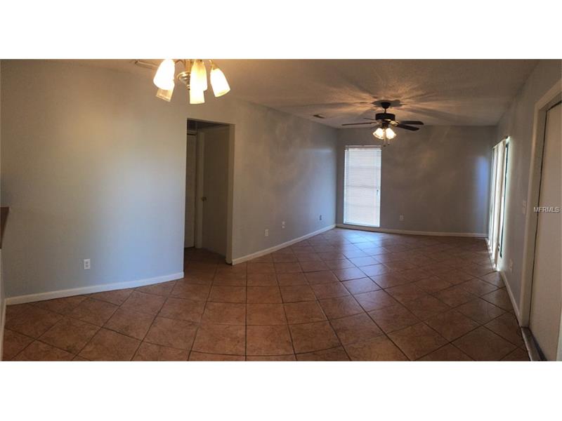 11001 BOTTLEBRUSH PLACE, Tampa, FL 33624