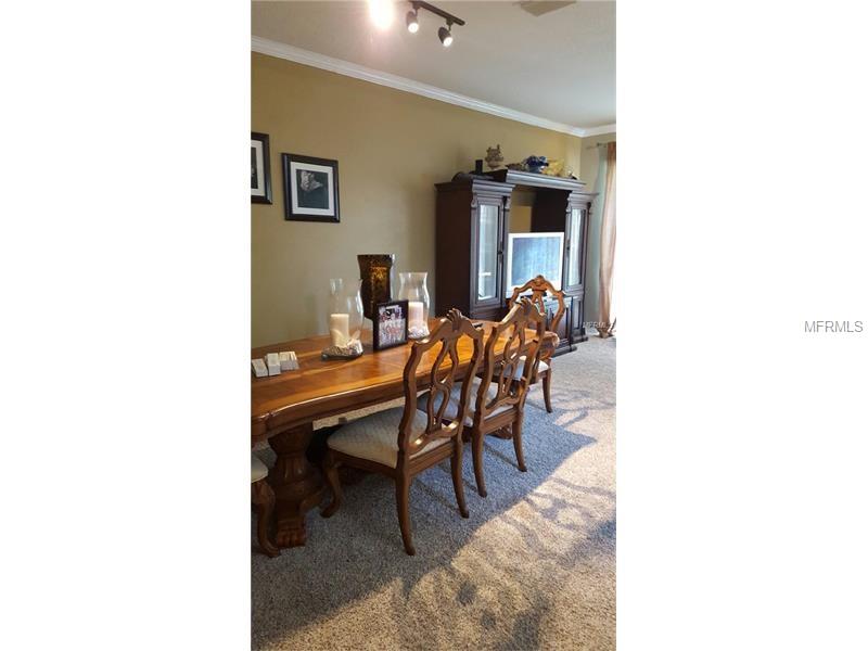 6030 COUNTRY GLADE WAY, Tampa, FL 33625