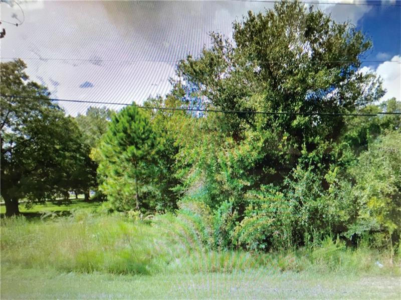 15004 HUTCHISON ROAD, Tampa, FL 33625