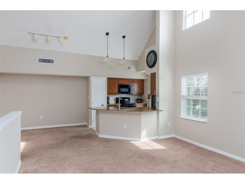 9506 LAKE CHASE ISLAND WAY, Tampa, FL 33626