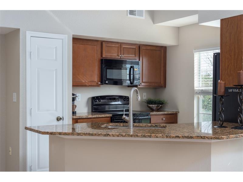 9506 LAKE CHASE ISLAND WAY, Tampa, FL 33626