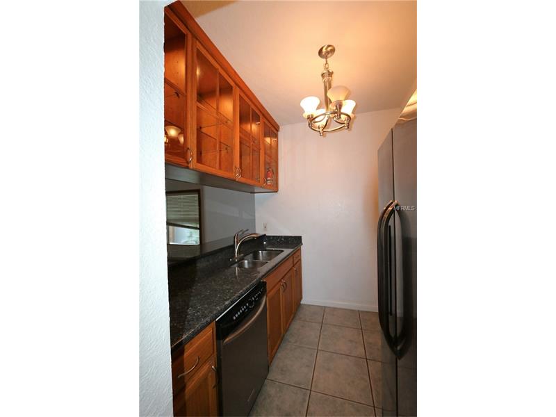 2803 W SAN ISIDRO STREET, Tampa, FL 33629