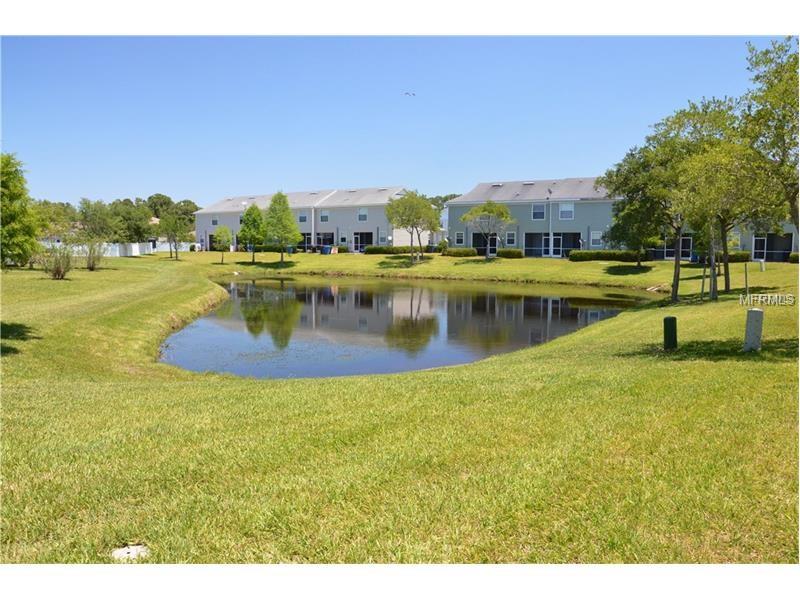 12248 COUNTRY WHITE CIRCLE, Tampa, FL 33635