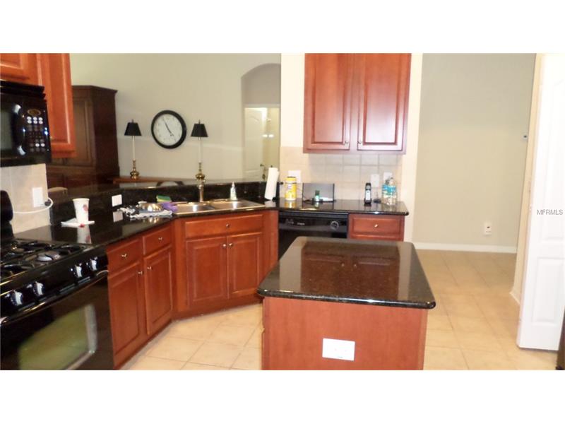 20074 HERITAGE POINT DRIVE, Tampa, FL 33647