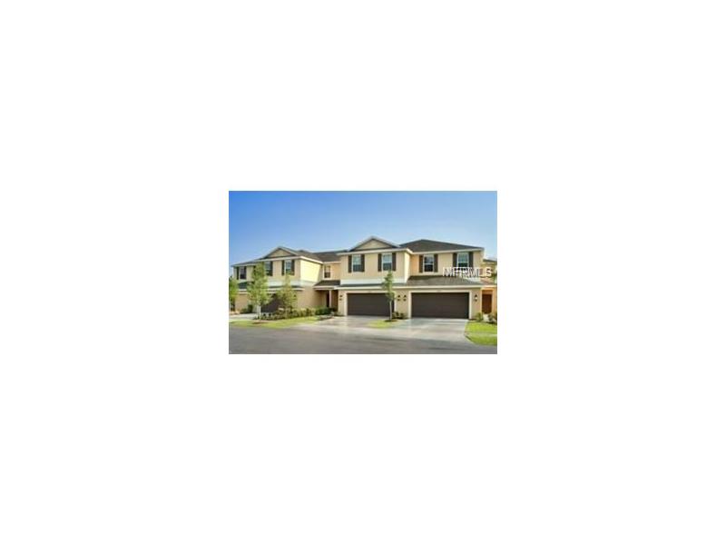 20238 POND APPLE LANE, Tampa, FL 33647