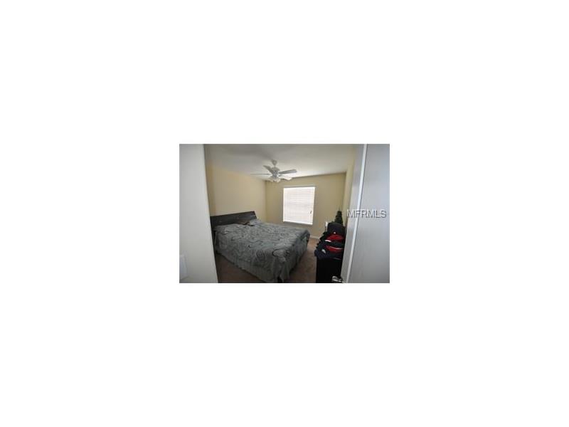 20238 POND APPLE LANE, Tampa, FL 33647
