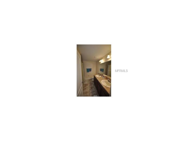 20238 POND APPLE LANE, Tampa, FL 33647