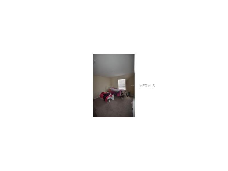 20238 POND APPLE LANE, Tampa, FL 33647