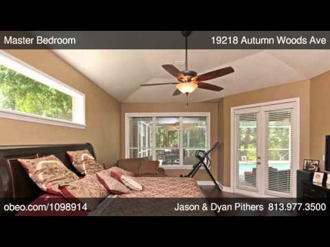 19218 Autumn Woods Ave, Tampa, United States 33647