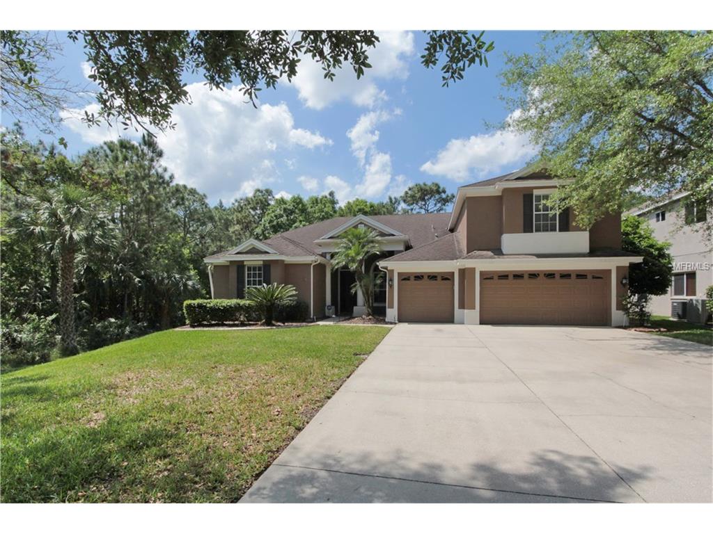 19218 Autumn Woods Ave, Tampa, United States 33647