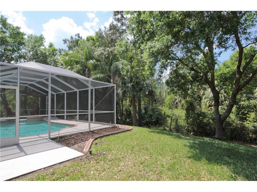 19218 Autumn Woods Ave, Tampa, United States 33647