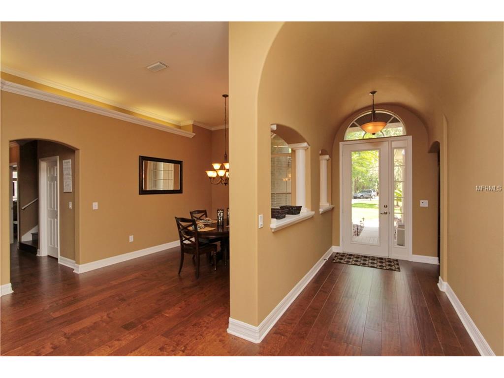 19218 Autumn Woods Ave, Tampa, United States 33647
