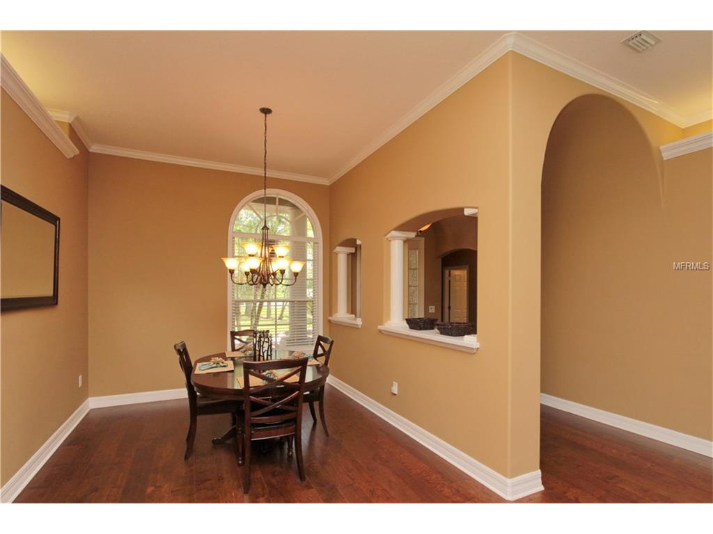 19218 Autumn Woods Ave, Tampa, United States 33647