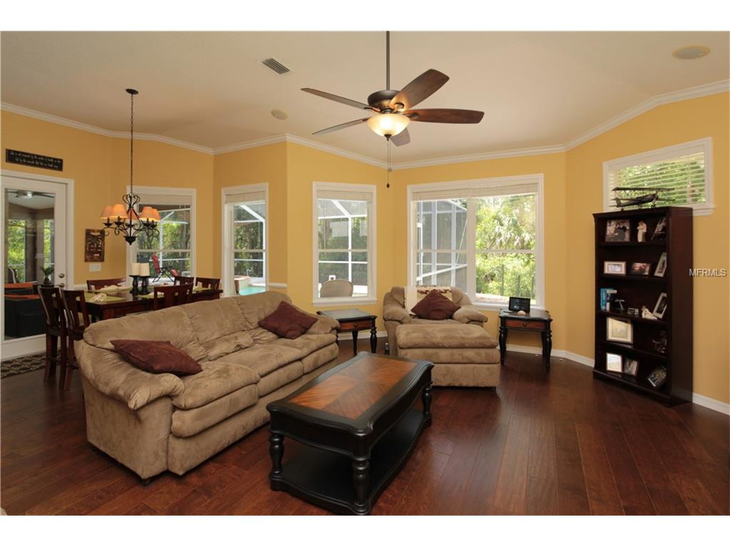 19218 Autumn Woods Ave, Tampa, United States 33647