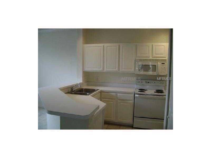 15350 AMBERLY DRIVE, Tampa, FL 33647