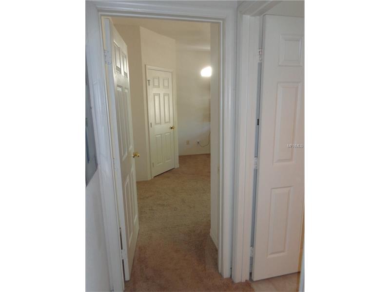 15350 AMBERLY DRIVE, Tampa, FL 33647