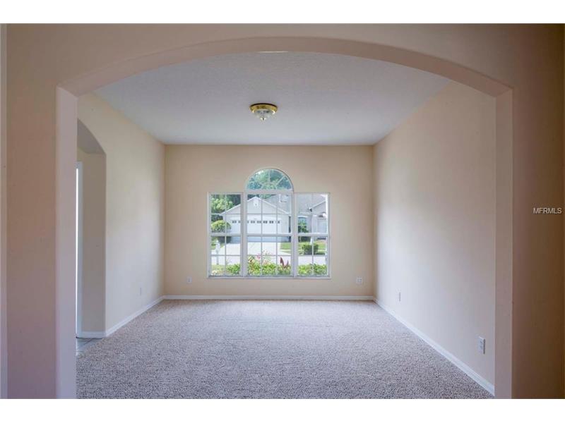 18220 CYPRESS HAVEN DRIVE, Tampa, FL 33647