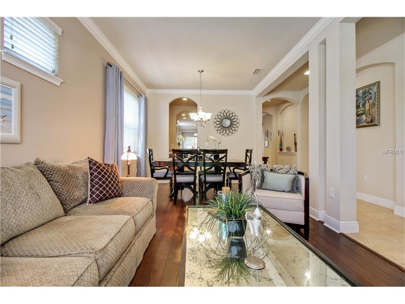 7916 HAMPTON LAKE DRIVE, Tampa, FL 33647