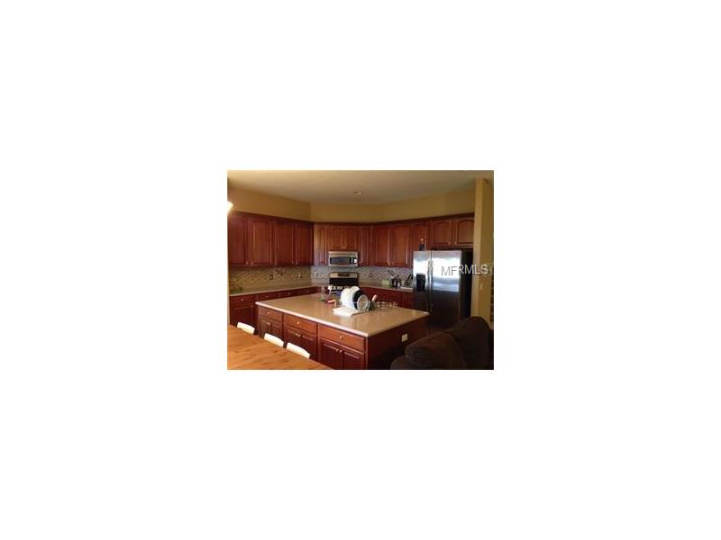 20012 DAYTONA WAY, Tampa, FL 33647