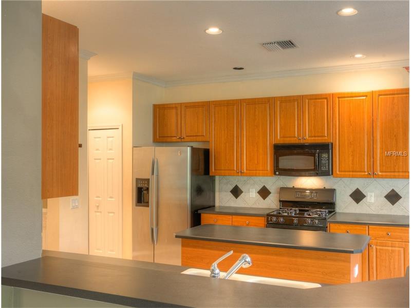 10416 CANARY ISLE DRIVE, Tampa, FL 33647