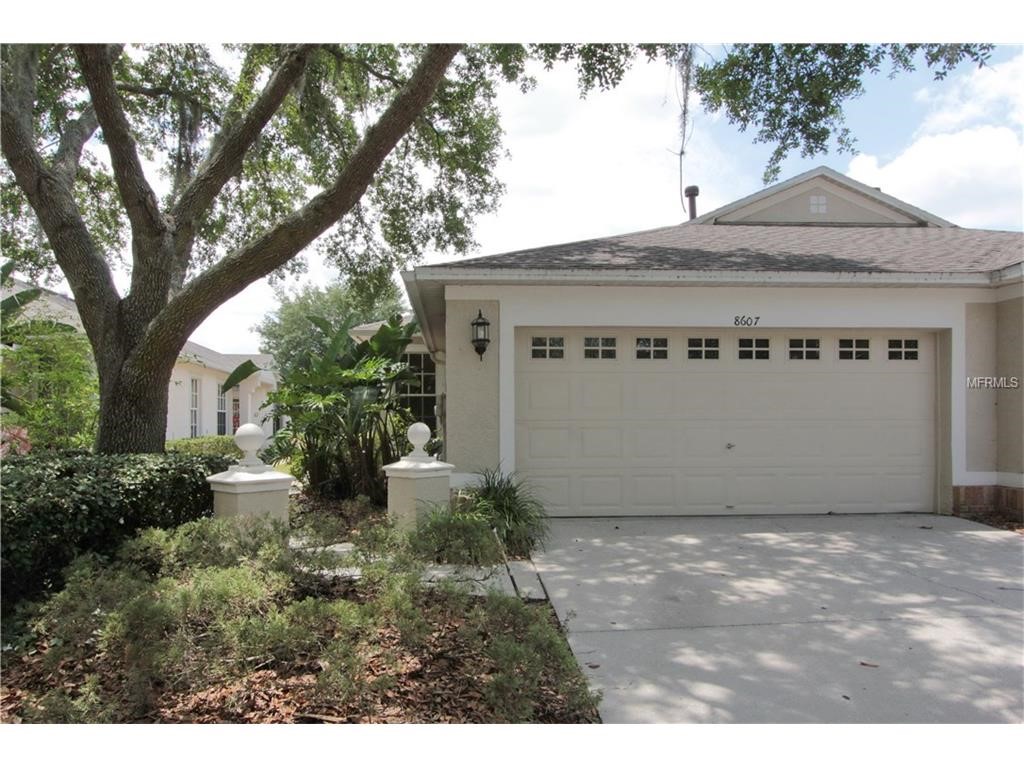 8607 Snowy Owl Way, Tampa, FL 33647