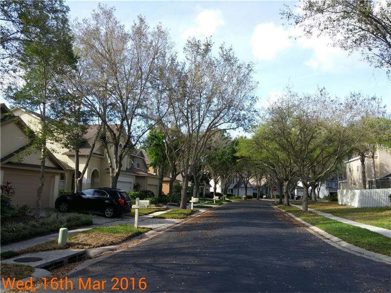 17714 LONG RIDGE ROAD, Tampa, FL 33647