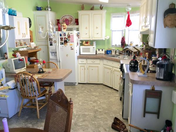 Romany Park 370 53rd Ave NSaint Petersburg, FL 33703