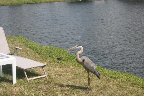 Venetian Mobile Home Court5601 3rd way noSaint Petersburg, FL 33703