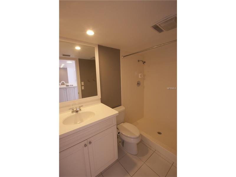 1328 PELICAN CREEK CROSSING, St Petersburg, FL 33707