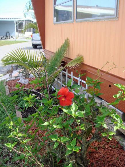 Sunshine Mobile Home Park&Sales 7403 46th Street North #104Saint Petersburg, FL 33709