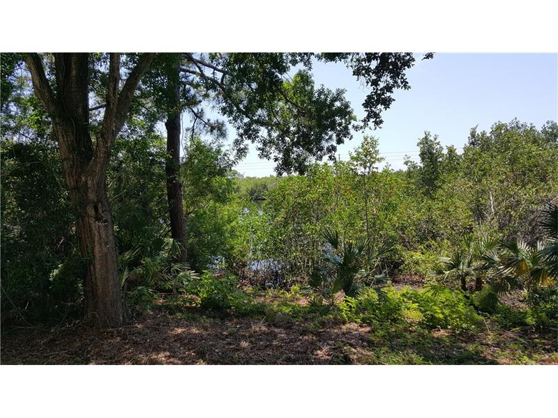 8198 TERRACE GARDEN DRIVE N, St Petersburg, FL 33709