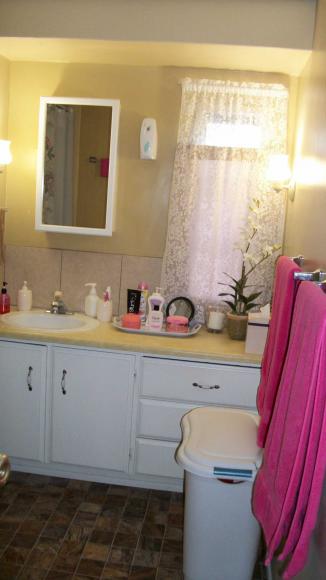 Lowe's City Mobile Home Community5200 28th St. N. 337Saint Petersburg, FL 33714