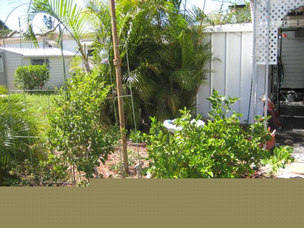 Silver Lake Mobile Home Resort 4000 24th St. N. #458Saint Petersburg, FL 33714