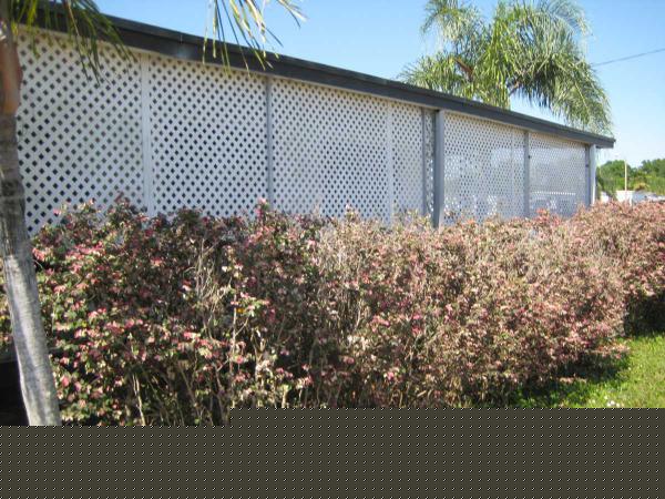 Silver Lake Mobile Home Resort 4000 24th St. N. #458Saint Petersburg, FL 33714
