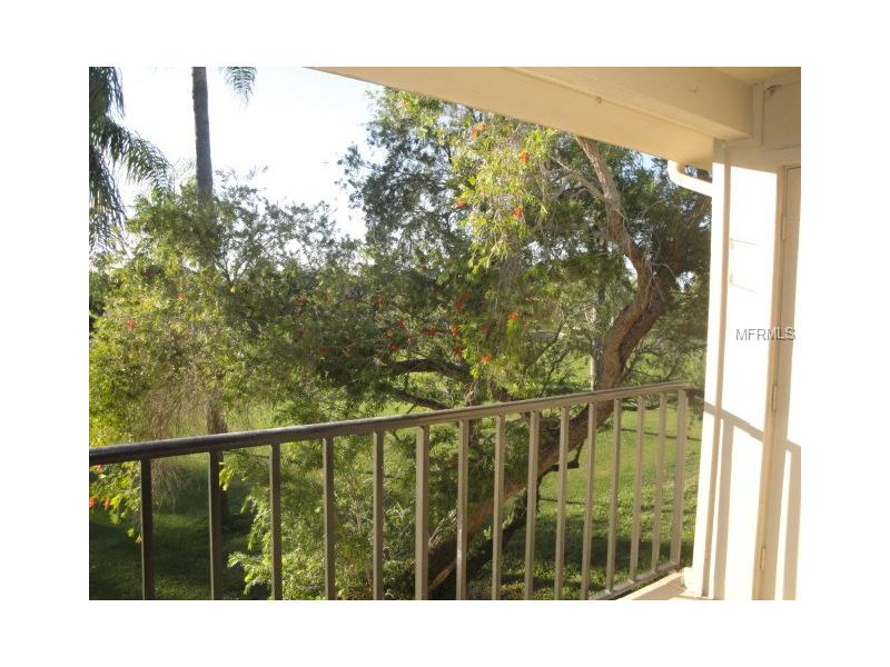 6335 PALMA DEL MAR BOULEVARD S, St Petersburg, FL 33715
