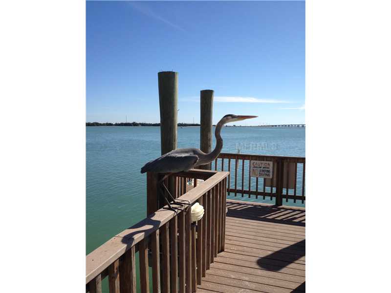 6287 BAHIA DEL MAR CIRCLE, St Petersburg, FL 33715