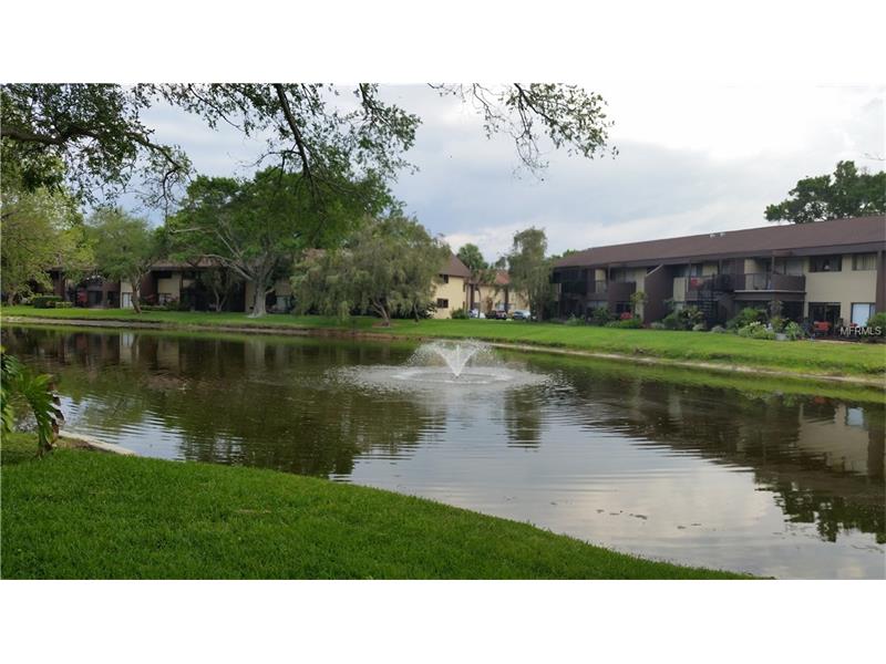 850 VILLAGE LAKE TERRACE N, St Petersburg, FL 33716