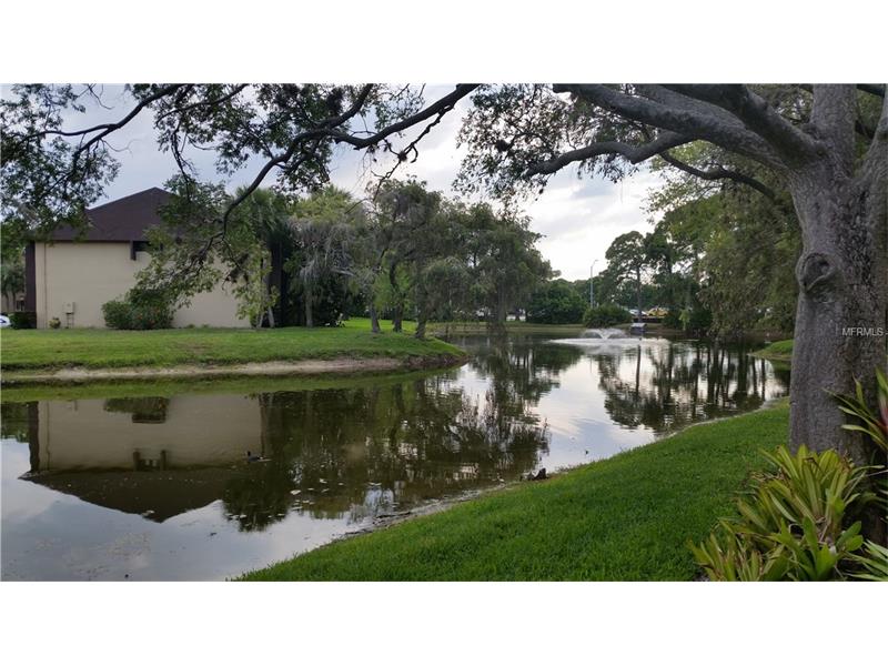 850 VILLAGE LAKE TERRACE N, St Petersburg, FL 33716